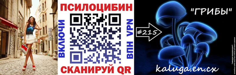 Псилоцибиновые грибы мицелий  Купить  Нахабино 